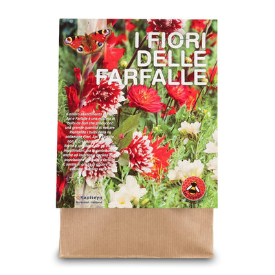 KIT BULBI ATTIRA FARFALLE TONALITÀ BIANCO ROSSO Bulbi Primaverili Kapiteyn