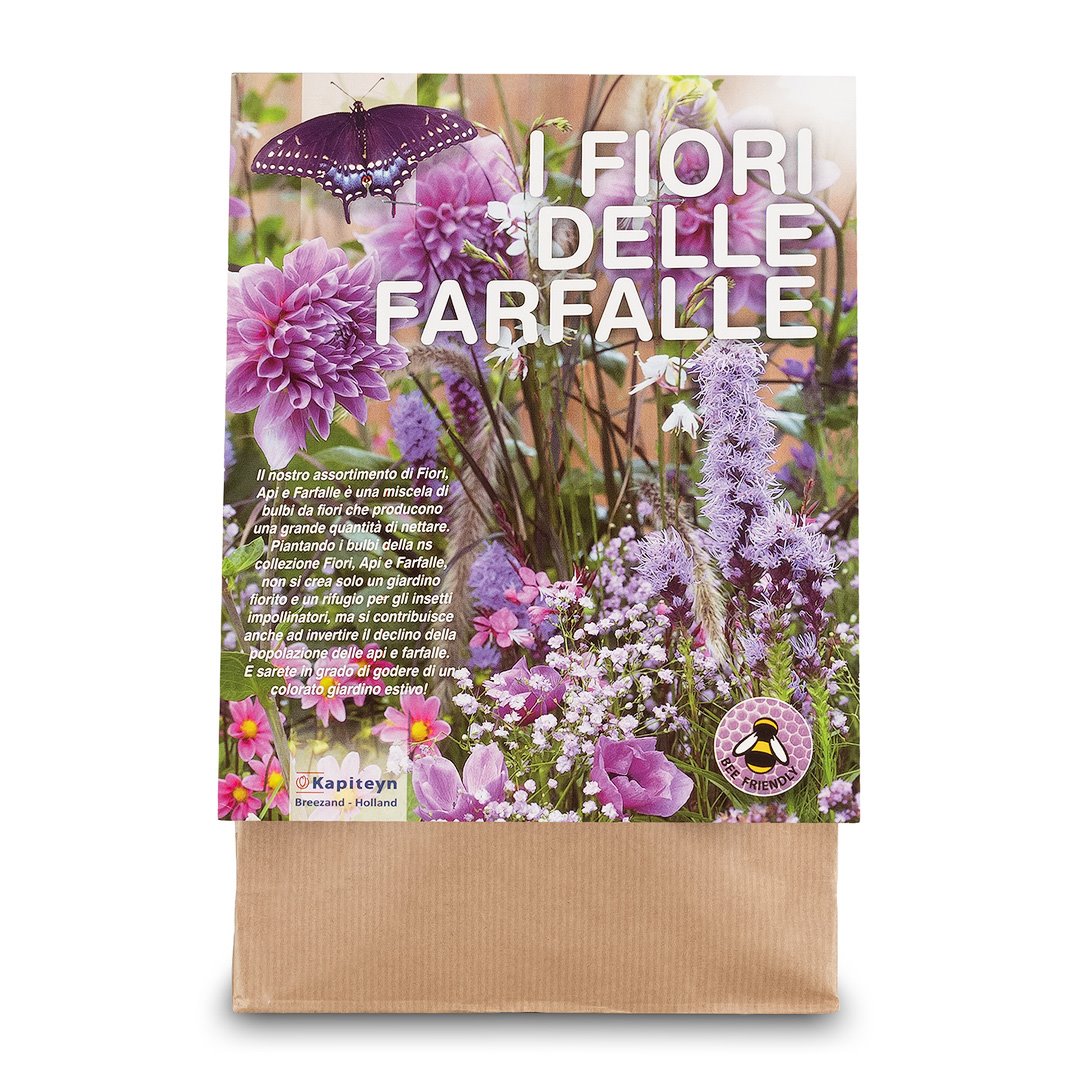 KIT BULBI ATTIRA FARFALLE TONALITÀ VIOLA Bulbi Primaverili Kapiteyn