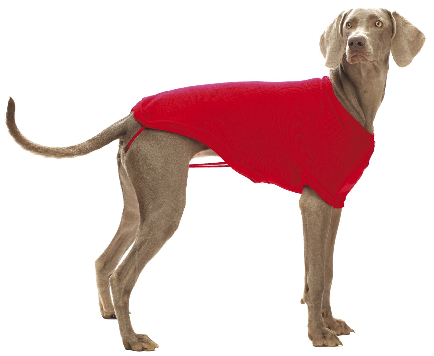 Maglioncino Dolcevita per Cani Modello Siviglia Rosso Maglioncini per cani Croci