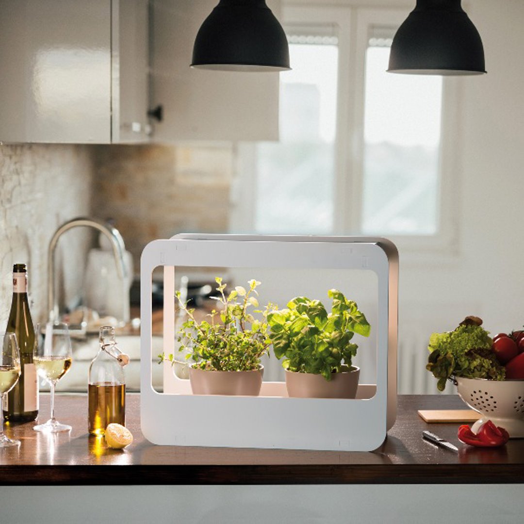 MINI GARDEN CON LED 48x21x40 CM BIA Home & Garden