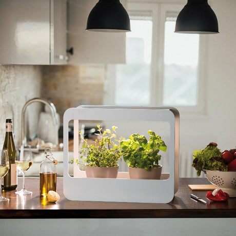 MINI GARDEN CON LED 48x21x40 CM BIA Home & Garden