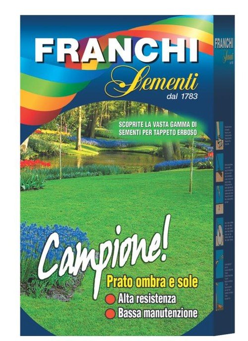 MISCUGLIO SEMI PRATO CAMPIONE 1 KG Sementi Prato Franchi