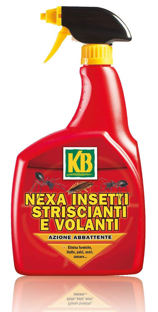 NEXA INSETTI STRISCIANTI E VOLANTI 750ML Insetticida Insetti FUORIDIVERDE