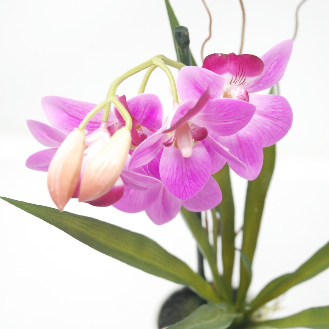 Pianta Artificiale Orchidea in Vaso H35 Beauty