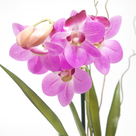 Pianta Artificiale Orchidea in Vaso H35 Beauty Piante Finte Garden Team
