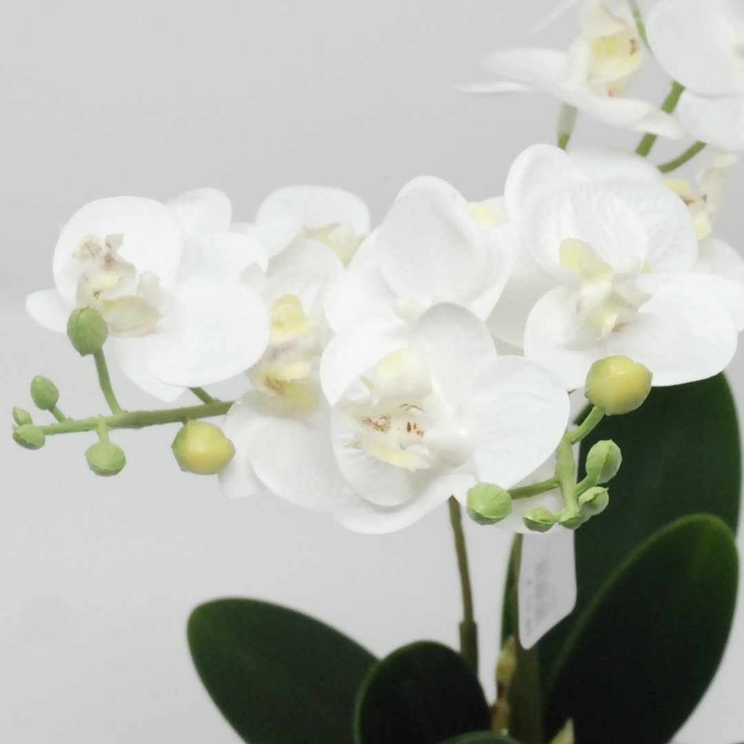 Pianta Artificiale Phalaenopsis Bianco in Vaso Bianco H30 Piante Finte Garden Team