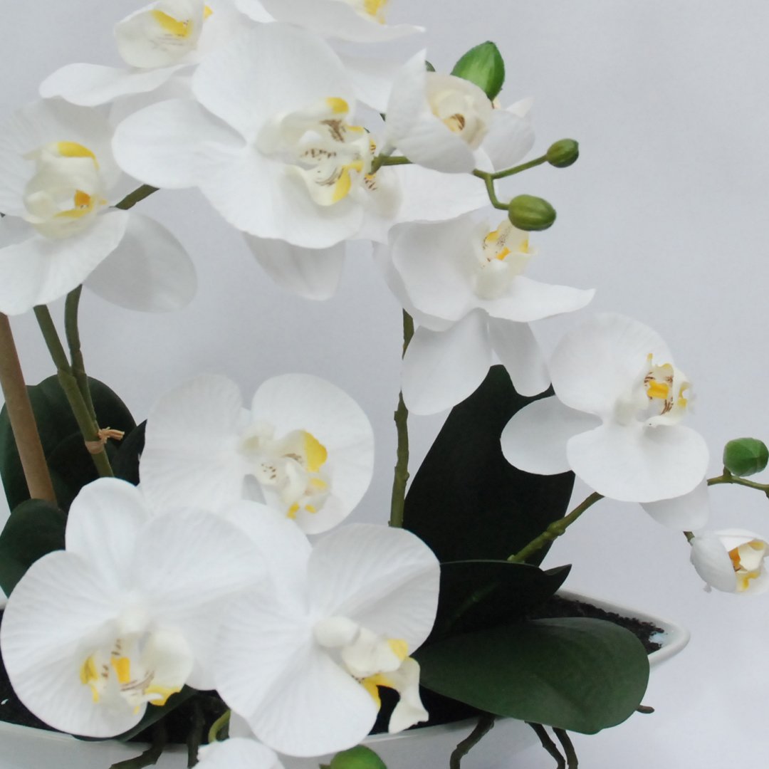 Pianta Artificiale Phalaenopsis Bianco in Vaso Bianco H38 Piante Finte Garden Team
