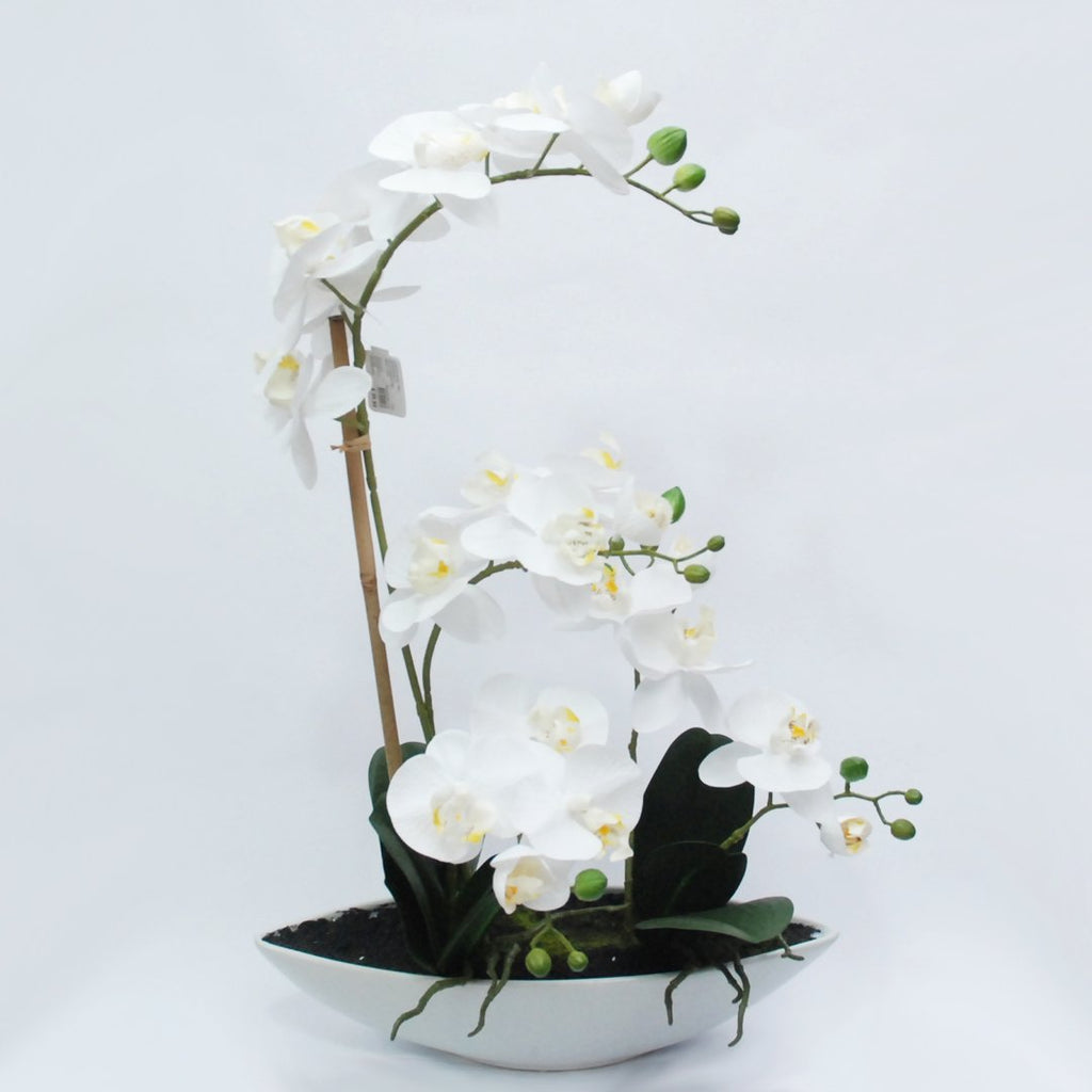 Pianta Artificiale Orchidea H75 cm con Vaso Bianco