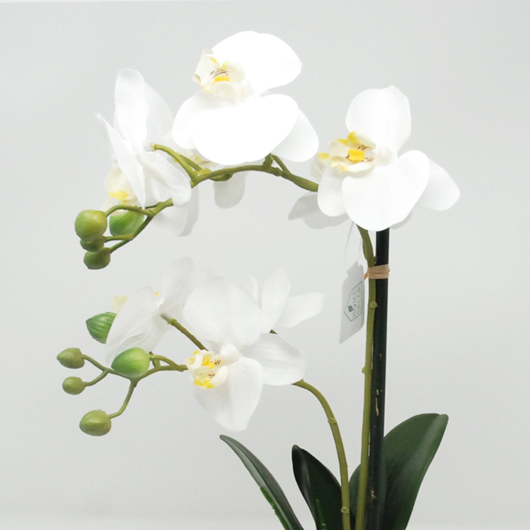 Pianta Artificiale Phalaenopsis Bianco in Vaso Bianco H44 Piante Finte Garden Team