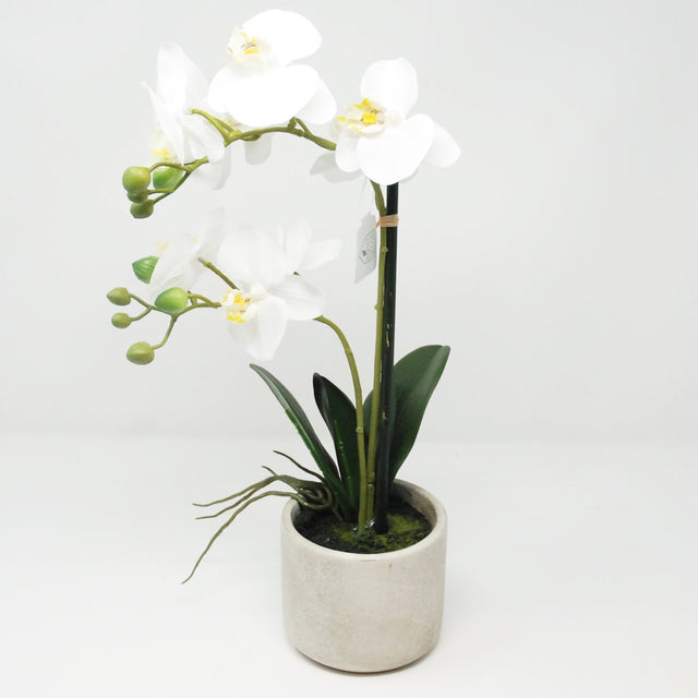 Pianta Artificiale Phalaenopsis Bianco in Vaso Bianco H44 Piante Finte Garden Team