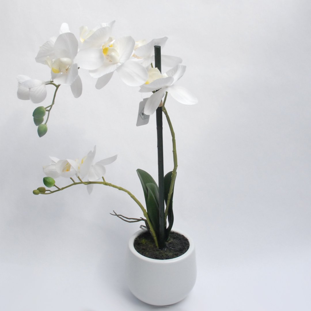 Pianta Artificiale Phalaenopsis Bianco in Vaso Bianco H48 Piante Finte Garden Team
