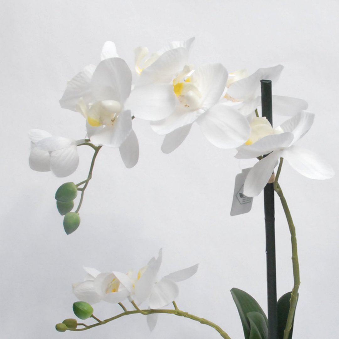 Pianta Artificiale Phalaenopsis Bianco in Vaso Bianco H48 Piante Finte Garden Team