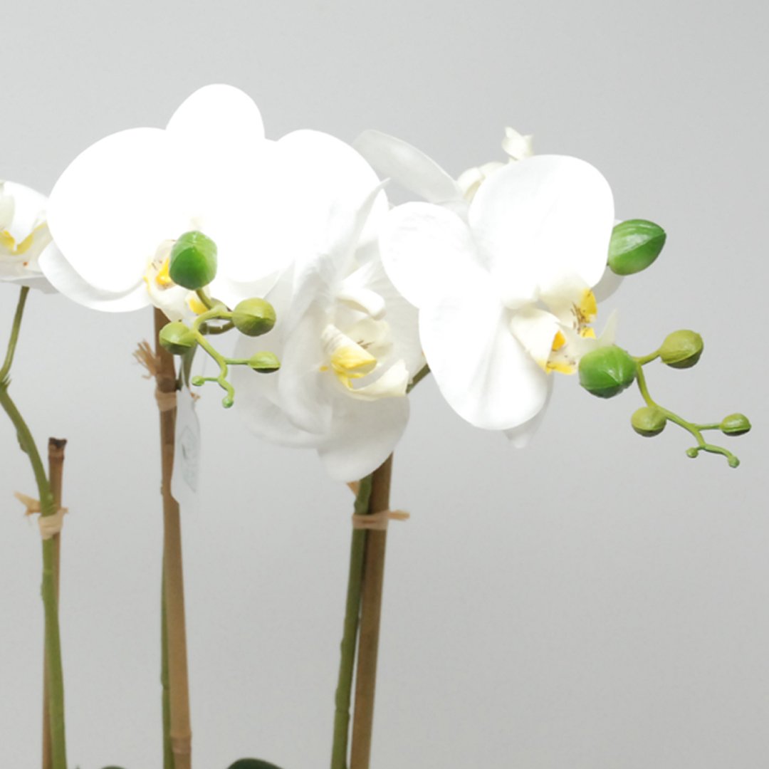 Pianta Artificiale Phalaenopsis in Vaso Bianco H45 Piante Finte Garden Team