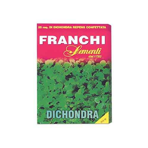 PRATO DICHONDRA REPENS 100 GRAMMI Sementi Prato Franchi