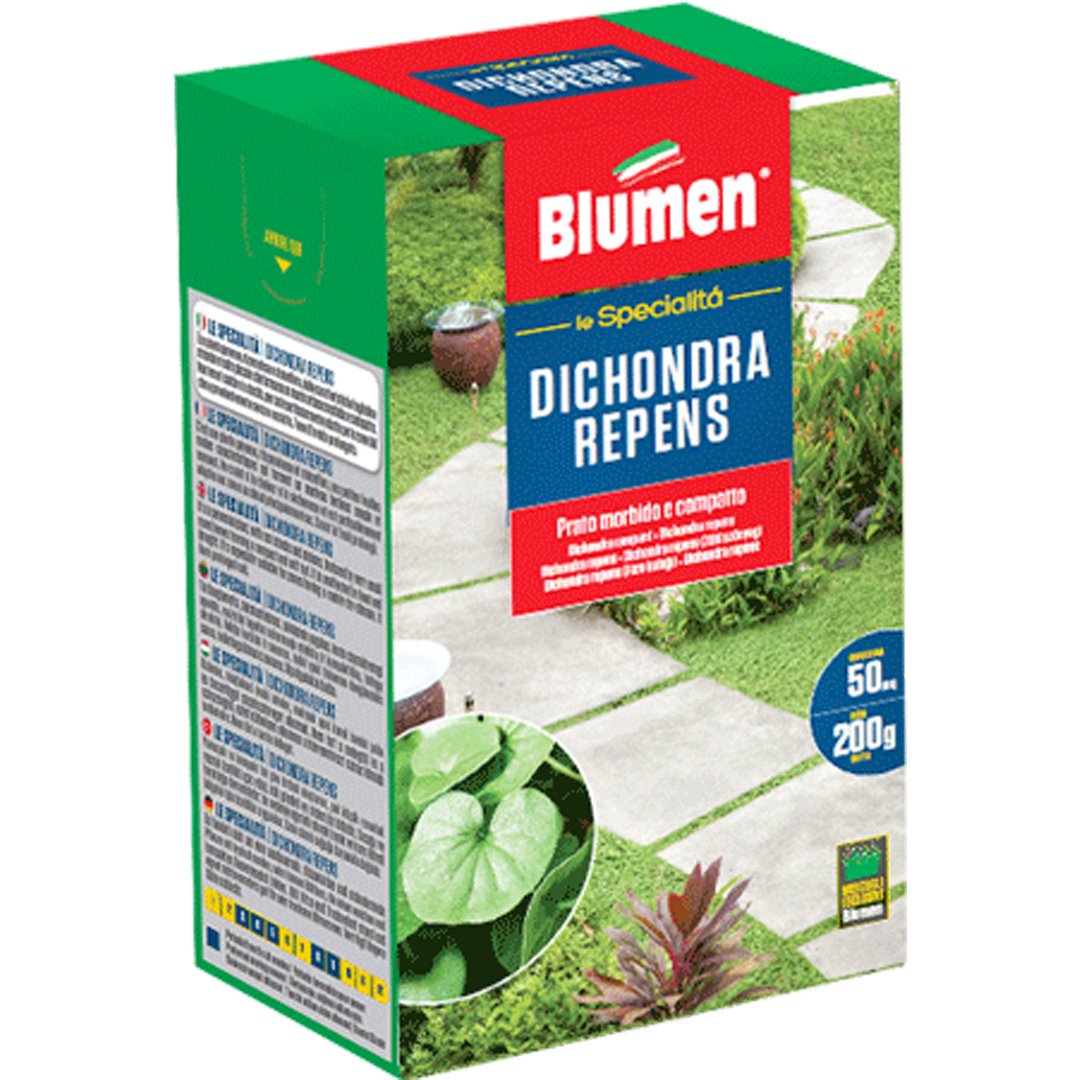 PRATO DICHONDRA REPENS 200 GRAMMI Sementi Prato Blumen