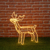 Renna Luminosa Natalizia 3D Luce Fissa 56x70 H Renne Luminose LOTTI