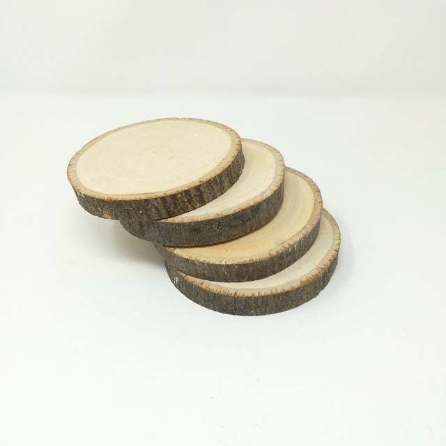 Rete 4 Fette di Legno Dia 14-16CM Accessori fiori secchi Garden Team