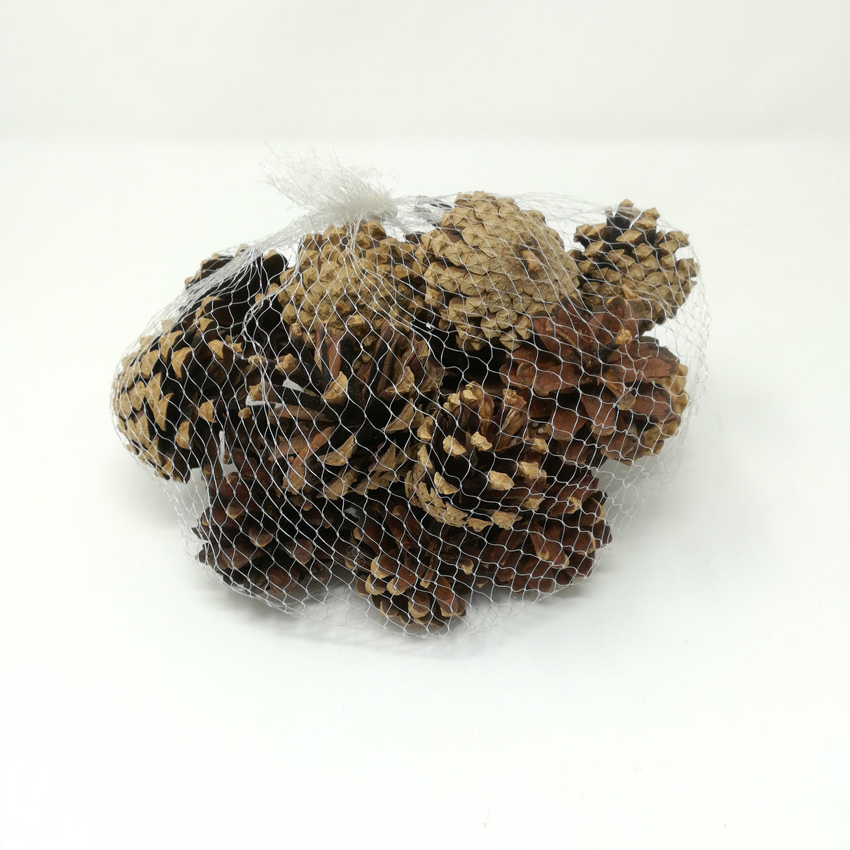 Rete Pigne Naturali 3,5-5CM 200Gr Accessori fiori secchi Garden Team