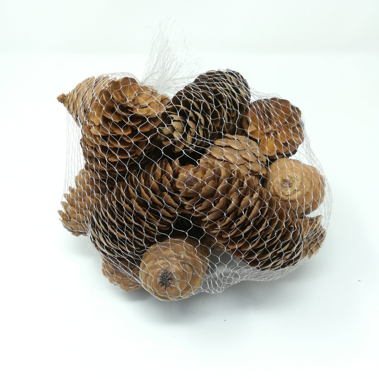 Rete Pigne Naturali 4-5,5CM 200Gr Accessori fiori secchi Garden Team