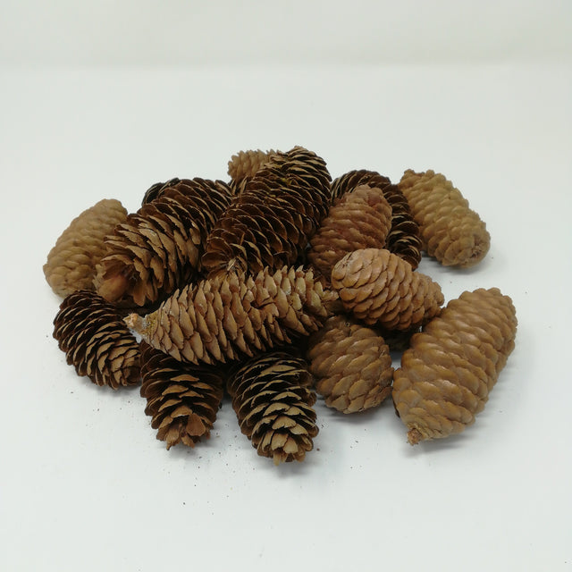 Rete Pigne Naturali 4-5,5CM 200Gr Accessori fiori secchi Garden Team