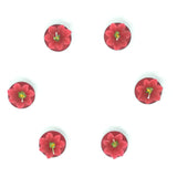 Set 6 Tealight Stella Di Natale Rossa Candele Natalizie Decorate Garden Team