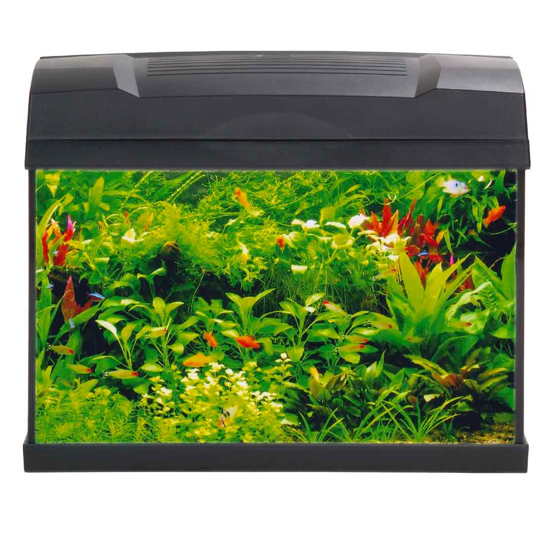 SET ACQUARIO A LED 40 CM Acquario BIA Home & Garden