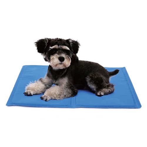 Tappetino Rinfrescante per Cani Colore Blu Giochi Cane Garden Team