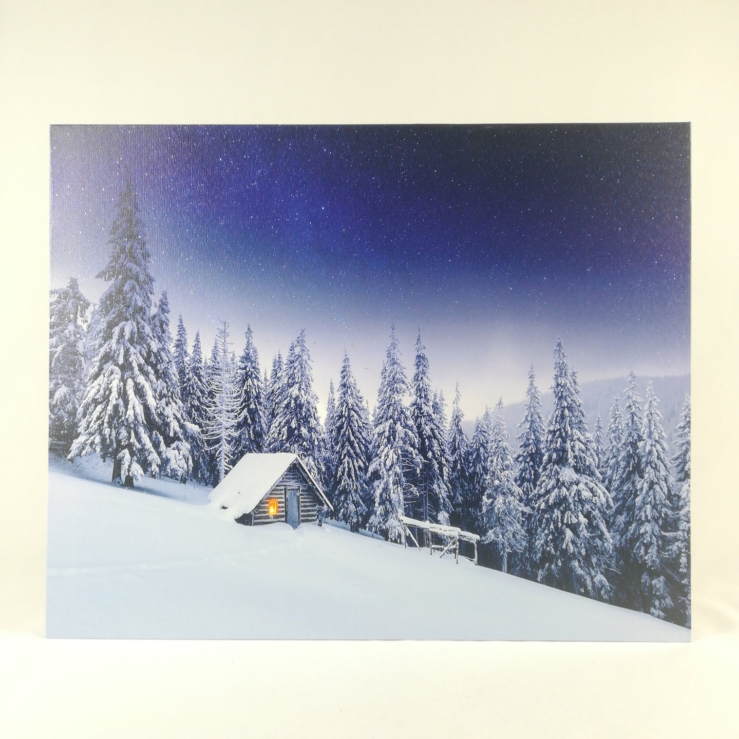 Tela Luminosa 1 LED e 55 Fibre Ottiche 50x40 Paesaggio Innevato Quadro a led Garden Team