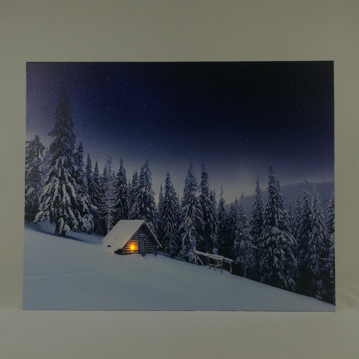 Tela Luminosa 1 LED e 55 Fibre Ottiche 50x40 Paesaggio Innevato Quadro a led Garden Team