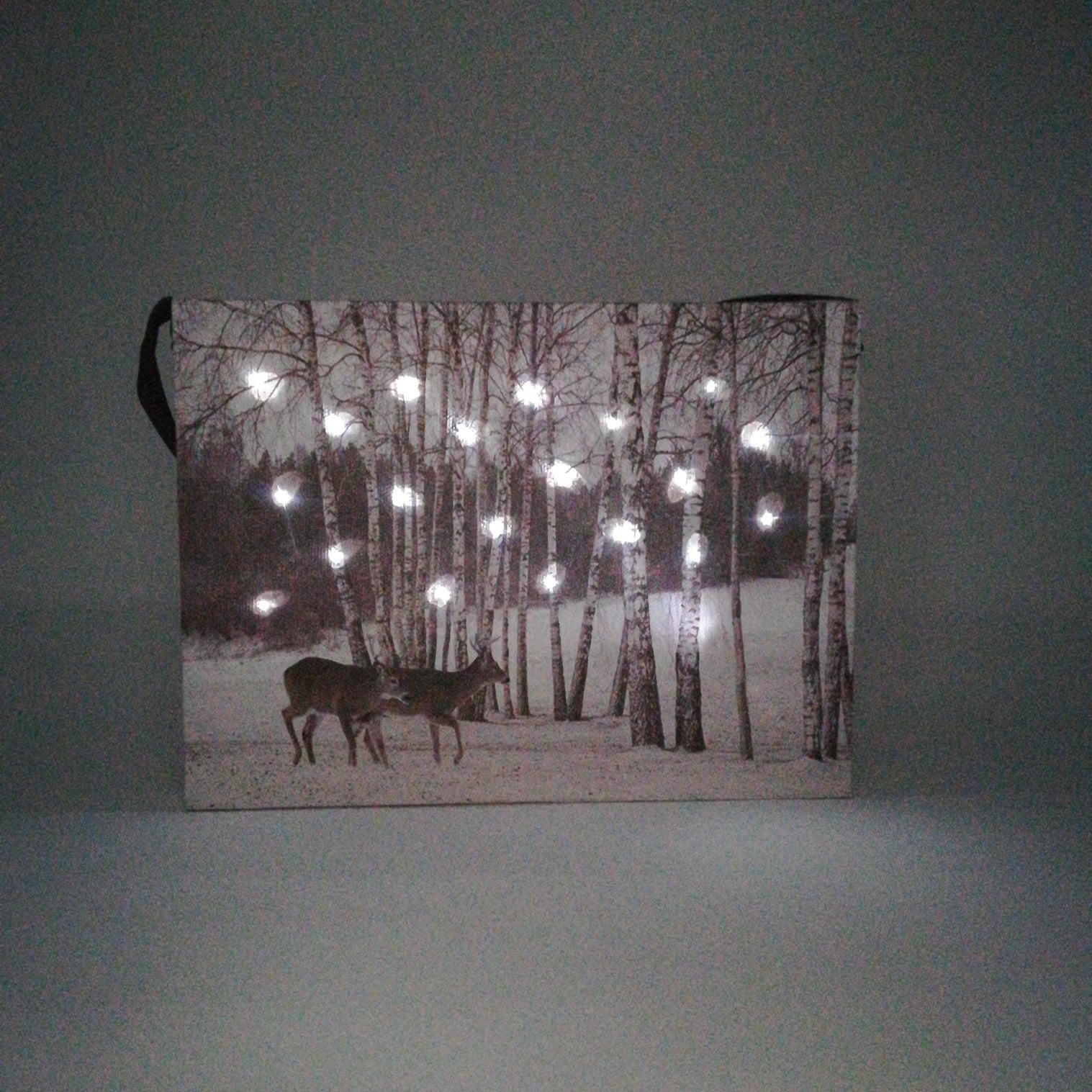 Tela Luminosa 20 Fibre Ottiche 20x15 Renne Quadro a Led Garden Team