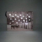 Tela Luminosa 20 Fibre Ottiche 20x15 Renne Quadro a Led Garden Team