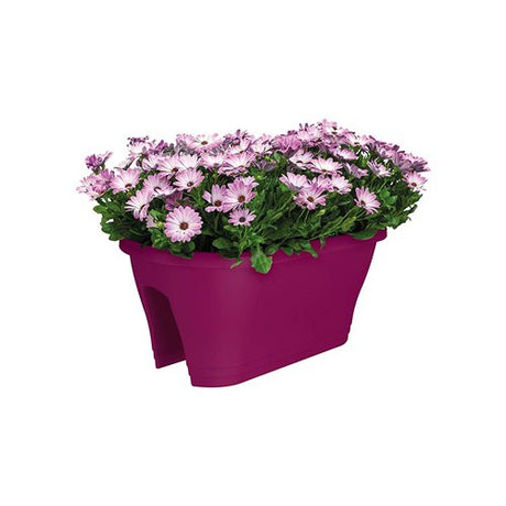 Vaso Fioriera da Balcone Elho Corsica 60 cm Vaso in Plastica Elho