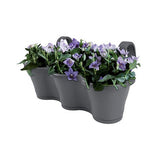 Vaso Fioriera da Balcone Elho Corsica Trio 50 cm Vaso in Plastica Elho